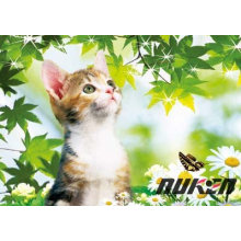 Wholesale Lenticular Art 3D Cat Picture